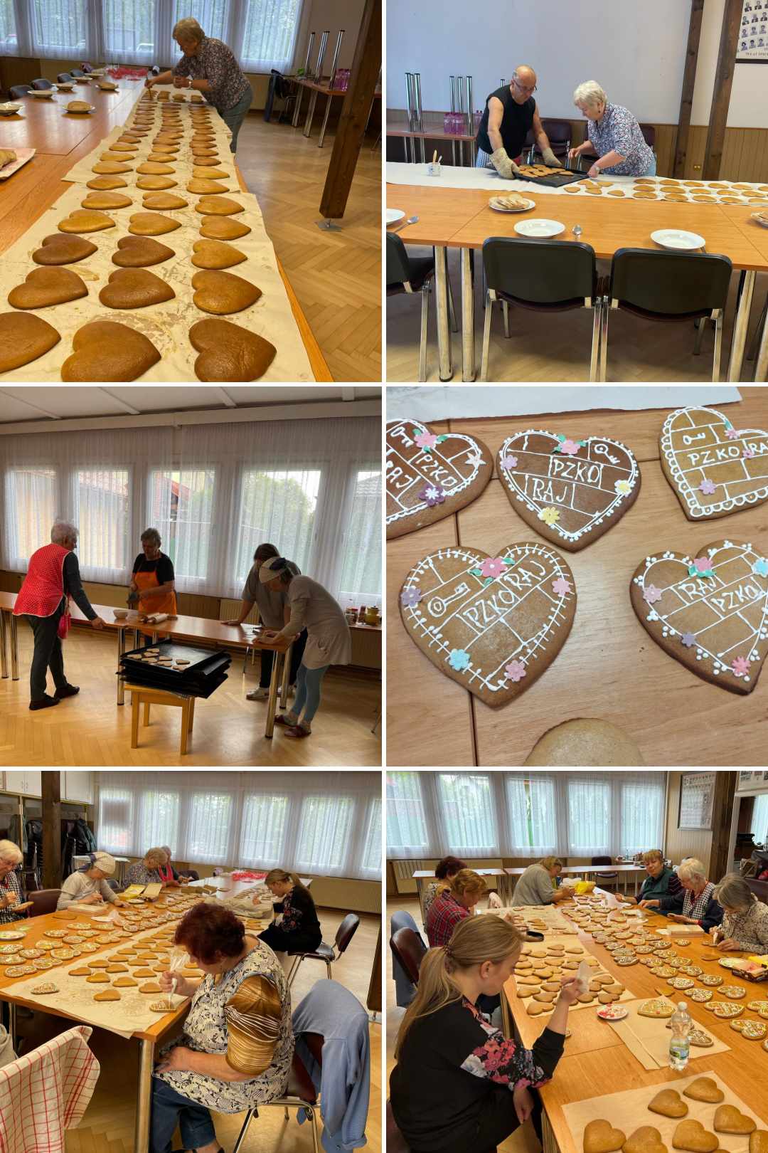 Akcja: Serce dla PZKO