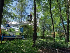 Dbamy o bezpieczeństwo gości "festynowych"